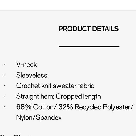 NWT Express Crochet Knit Cropped Sweater Cami - Picture 7 of 7